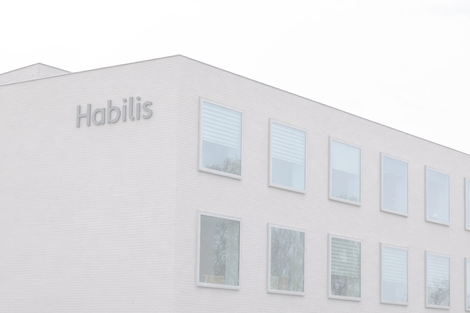 Habilis gebouw (2)